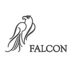 falcon logo